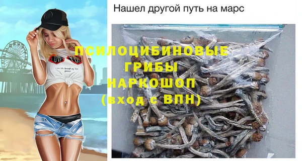 jwh Белокуриха