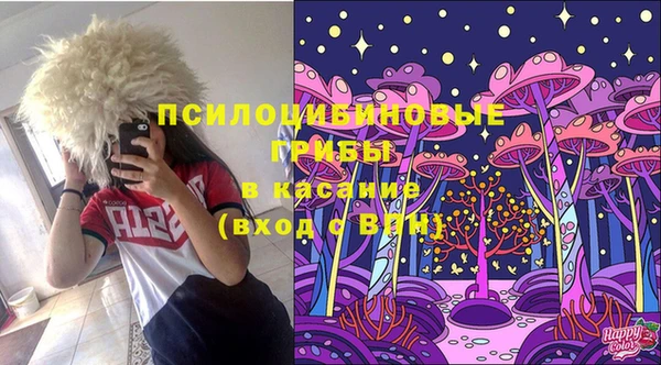 jwh Белокуриха