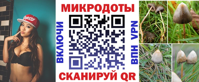 Галлюциногенные грибы мицелий  Балашиха 